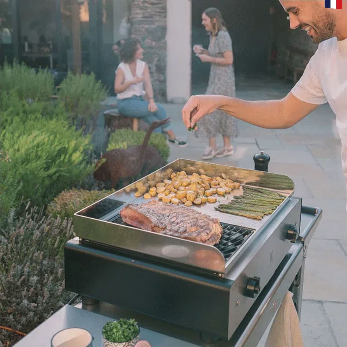 Plancha & Barbecue Duo K de Krampouz