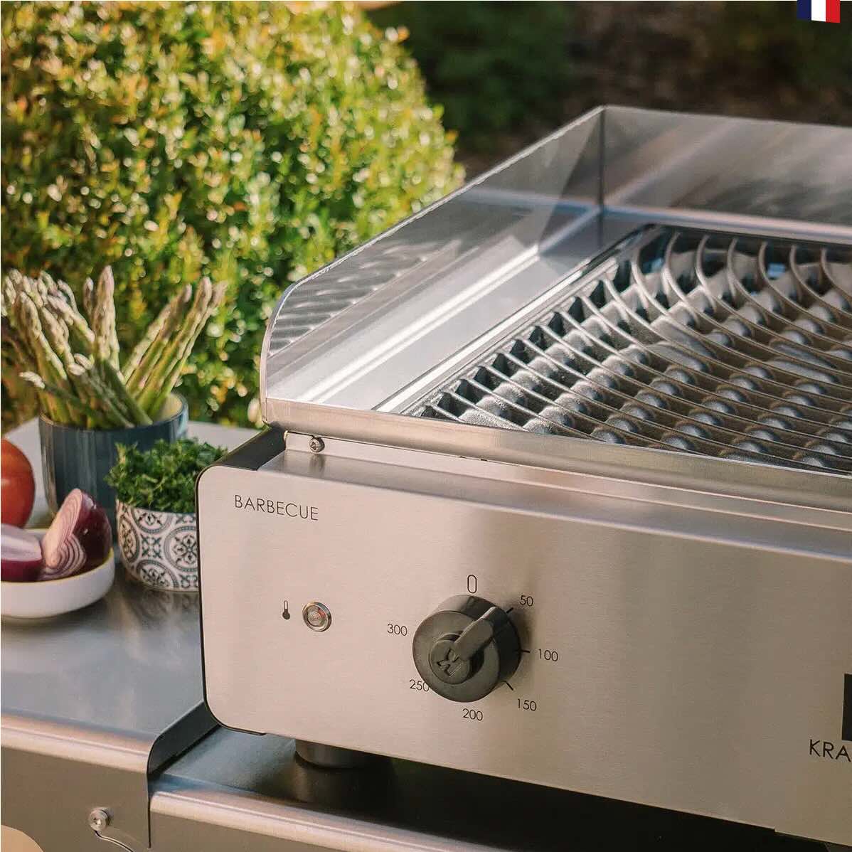 Plancha & Barbecue Duo K de Krampouz