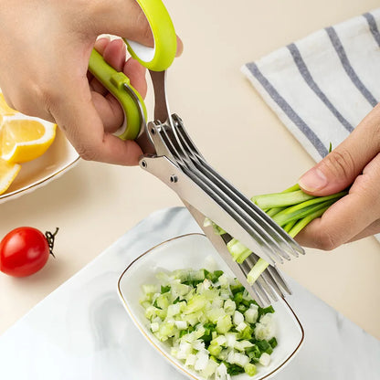 Ciseaux de Cuisine 5 Lames : L'allié fraîcheur ultra-rapide